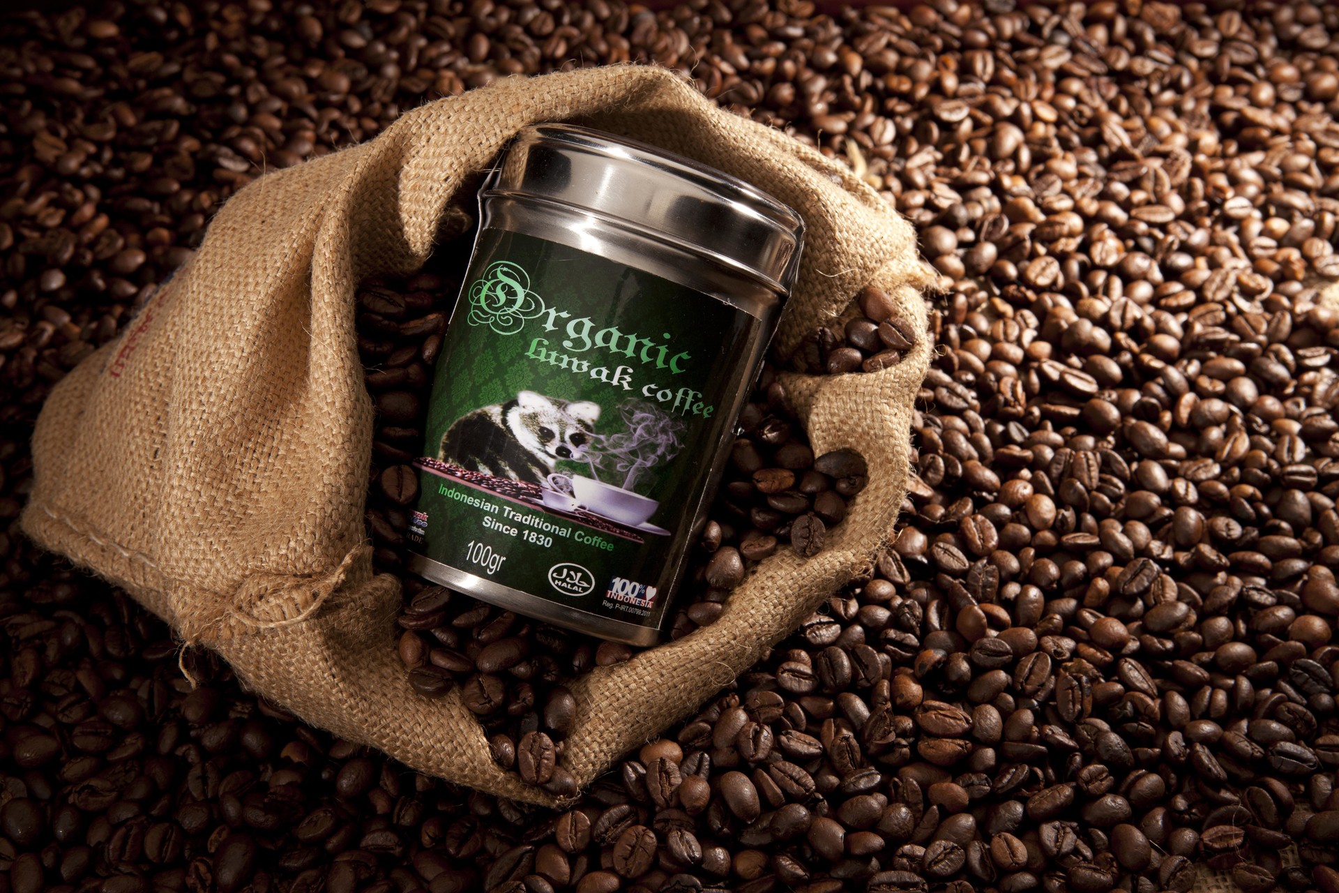 Самый дорогой кофе в мире цена. Копи Лювак кофе. Сорт кофе копи Лювак. Лювак кофе Лювак. Копи Лювак кофе зверек.