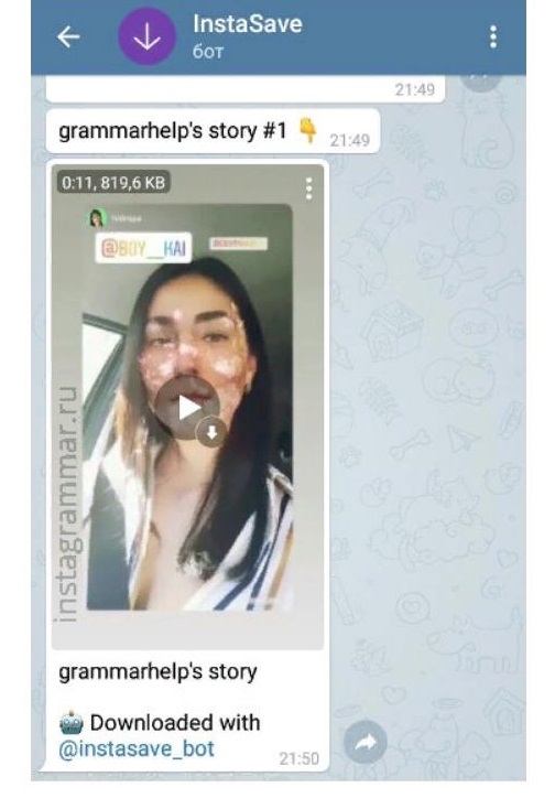 IgSpyBot